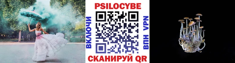 Купить Нестеров Псилоцибиновые грибы мухоморы