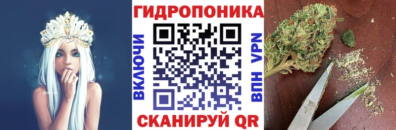 Купить где  Нестеров  Бошки марихуана планчик 